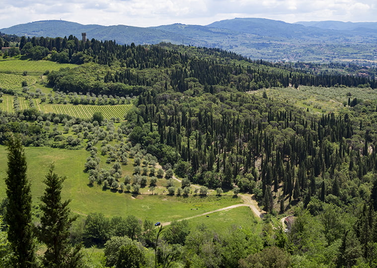 View on Maiano from Monte Ceceri